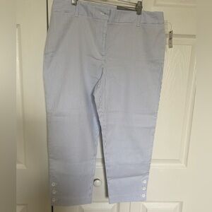 Talbots Blue and White Cropped Pants